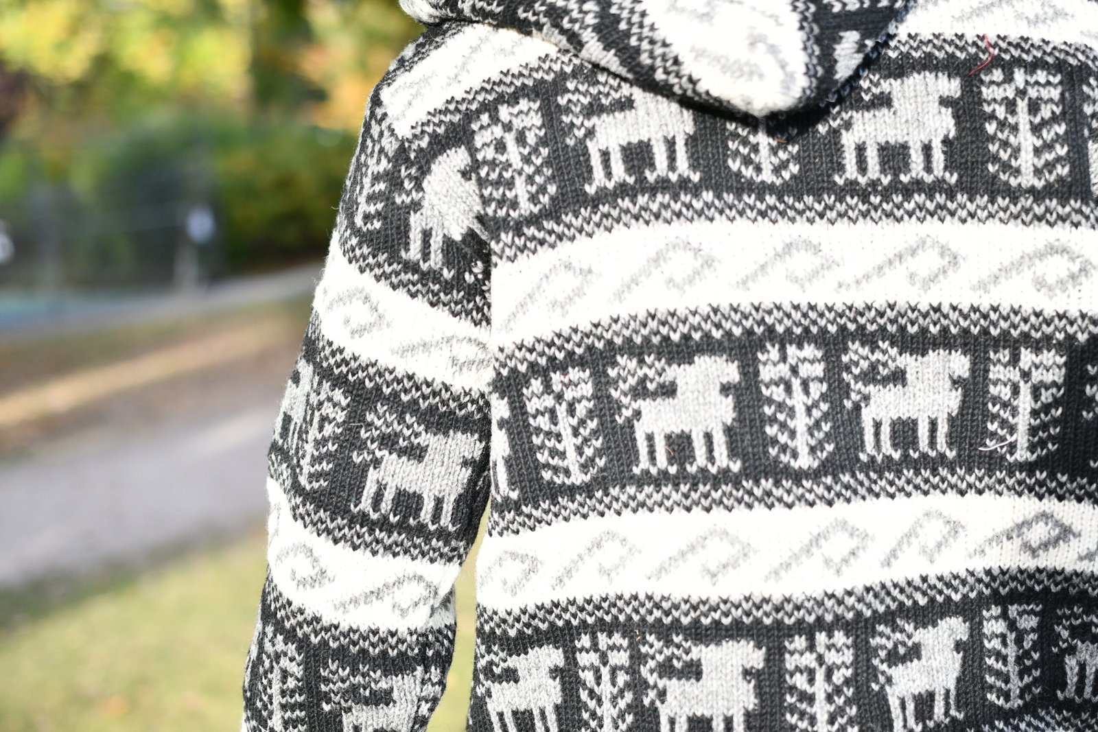 Brown Nordic Wool Jacket - Image 2