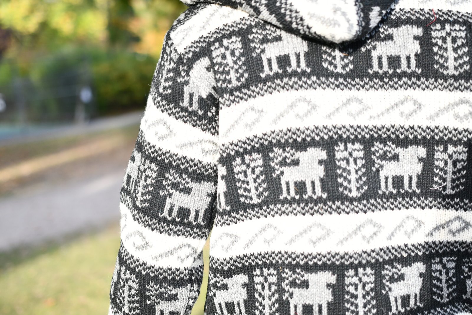 Brown Nordic Wool Jacket - Image 3